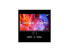 Фото #1 товара ViewSonic VP3256-4K 32 Inch Premium IPS 4K UHD Ergonomic Monitor with Ultra-Thin