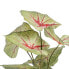 Decorative Plant Red Green PVC 40 x 35 x 55 cm