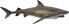 Фото #1 товара Фигурка Collecta Rekin Tiger 004-88661 (Shark Collection) (Коллекция Акул)