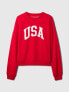 Фото #4 товара Vintage Soft USA Sweatshirt