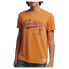 SUPERDRY Vintage Script Style Coll T-shirt Thrift Gold Marl, M - фото #3