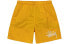 Stussy Logo 113156 Shorts