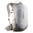 Фото #1 товара SALOMON Trailblazer 20L Vintage backpack