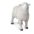 Фото #5 товара Фигурка Safari Ltd Овца SAFARI LTD Sheep Figure Wild Safari (Дикая Сафари) (Дети > Игрушки и игры > Игровые наборы и фигурки > Фигурки)