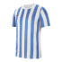 Фото #1 товара Nike Striped Division IV M CW3813-103 football shirt