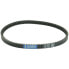 ATHENA Honda SGX SKY 50 Transmission Belt