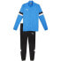 Фото #1 товара Puma Team Rise M tracksuit 658653 02