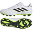 Фото #1 товара adidas Copa Pure.4 FxG M GZ2536 football shoes