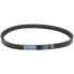 ATHENA Malaguti Ciak 125-150 Transmission Belt