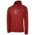 Фото #5 товара Dare2B Distinctly Hoodie