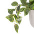 Фото #3 товара Декоративное растение 33 x 33 x 24 cm Белый Зеленый PVC