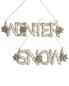 Фото #1 товара Kurt Adler 6.5In Resin Snow Winter Words Set Of 2 Ornaments Multi