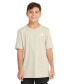 ფოტო #1 პროდუქტის Big Boys Cotton Short-Sleeve Essential Embroidered Logo T-Shirt