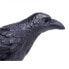 Фото #4 товара SAFARI LTD Raven Figure