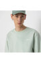 Фото #18 товара Core Basic Crew Fleece Pale Aqua Erkek Sweatshirt