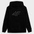 Sweatshirt 4F Jr. 4FJSS23TSWSM220 20S