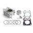 AIRSAL Honda Sh/Forza Ø52.4 mm 125cc Cylinder Kit