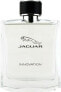 Мужская парфюмерия Jaguar EDT Innovation 100 ml