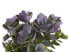 Фото #8 товара Искусственные цветы Beliani Sukkulente HOUSELEEK