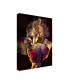 PhotoINC Studio Iris on Black Canvas Art - 19.5" x 26"