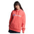 Фото #2 товара SUPERDRY Code Sl Applique Os hoodie