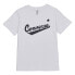 Фото #1 товара Converse Scripted Wordmark Tee