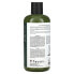 Scalp Treatment Shampoo, Tea Tree, 16 fl oz (475 ml)