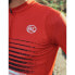 Фото #3 товара BICYCLE LINE Bassano XPS short sleeve jersey