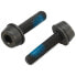 CAMPAGNOLO Screws For Rear Mounting 19 mm