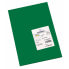 Фото #1 товара Картонная бумага IRIS Amazon Зеленый 29,7 x 42 см 185 г (50 штук)