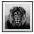 Painting Versa Lion Crystal 2 x 50 x 50 cm