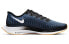 Кроссовки Nike Pegasus Turbo 2 Low University Blue