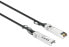 Фото #3 товара Intellinet SFP+ 10G Passives DAC Twinax-Kabel 0.5m HPE-komp. - Cable - Network
