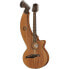 Фото #1 товара Timberline Guitars T20HGC-e Harp Guitar