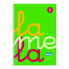 Фото #1 товара ноутбук Lamela Fluor Зеленый Din A4 5 Предметы 80 Листья