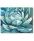 Фото #1 товара Cerulean Succulent Gallery-Wrapped Canvas Wall Art - 16" x 20"