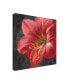 Фото #2 товара Danhui Nai Vivid Floral III Crop Canvas Art - 15.5" x 21"