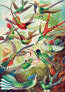 Good Loot Good Loot Puzzle: Ernst Haeckel - Hummingbirds (1000 elementów)