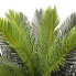 Kunstpflanze Cycas RE7043