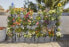 Фото #3 товара Горшок для комнатных растений GARDENA NatureUp! со встроенным резервуаром (13158-20)