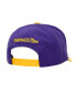 Фото #2 товара Men's Purple, Gold Los Angeles Lakers Soul XL Logo Pro Crown Snapback Hat