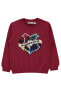 Erkek Çocuk Sweatshirt 10-13 Yaş Bordo