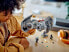 Фото #17 товара Конструктор LEGO Lego Star Wars 75347 The Bombardier Tie Speech Model with Gonk Right Figurine.