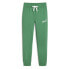 Фото #1 товара PUMA Ess+ Blossom Script sweat pants