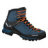 Salewa Mtn Trainer Mid Gtx