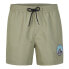 O´NEILL Cali State 15´´ Swimming Shorts