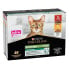 PURINA Pro Plan Multi Esterilizado Ox Chicken 85g Cat Snack 10 Units