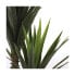 Фото #11 товара Декоративное растение Mica Decorations Yucca (120 x 60 cm)