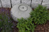 Фото #13 товара Led Gartenbrunnen FoShell