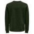 ONLY & SONS Ceres sweatshirt